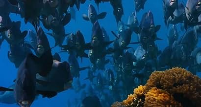 पोस्टर देखें