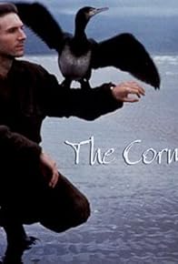 Primary photo for The Cormorant Primary photo for The Cormorant