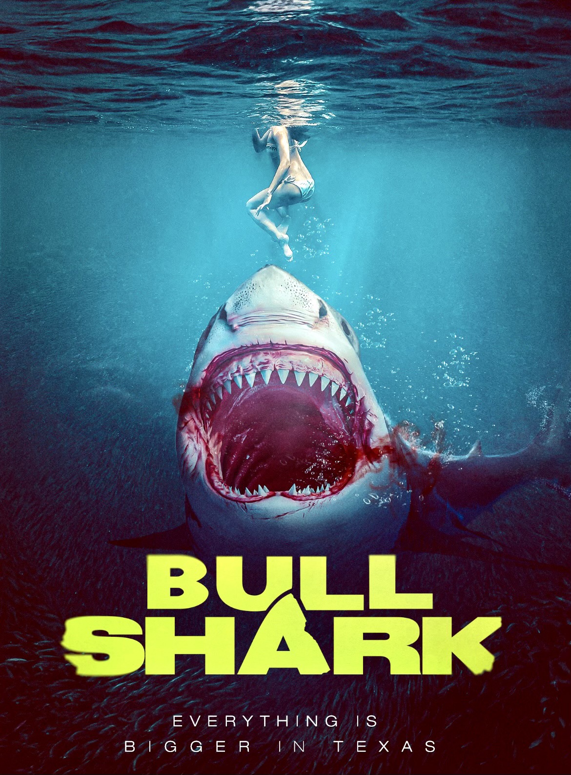 Poster of Bull Shark