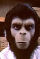Roddy McDowall's Planet of the Apes Homemovie's primary photo