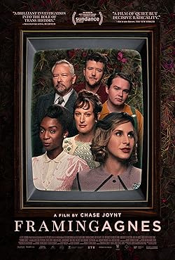 Poster of Framing Agnes
