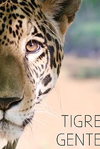 Primary photo for Tigre Gente