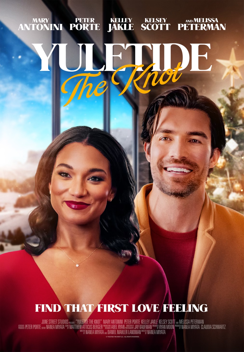 Poster of Yuletide the Knot