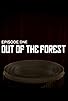 Primary photo for Out of the Forest