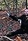 Psycho Brother Stomps Glasses's primary photo