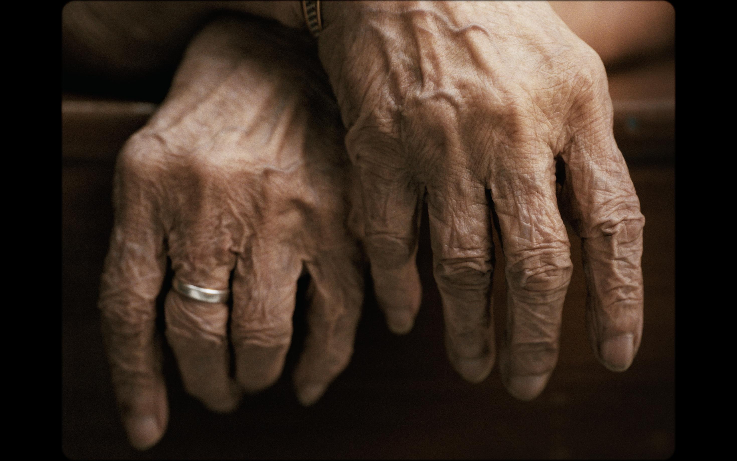 Morning Before the Haze