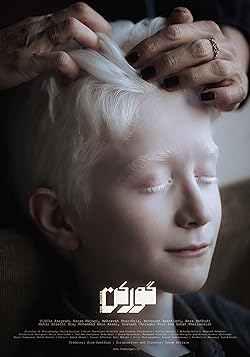 Poster of The Badger