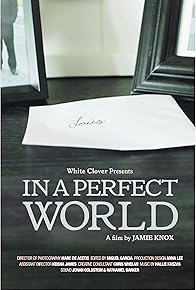 Primary photo for In a Perfect World
