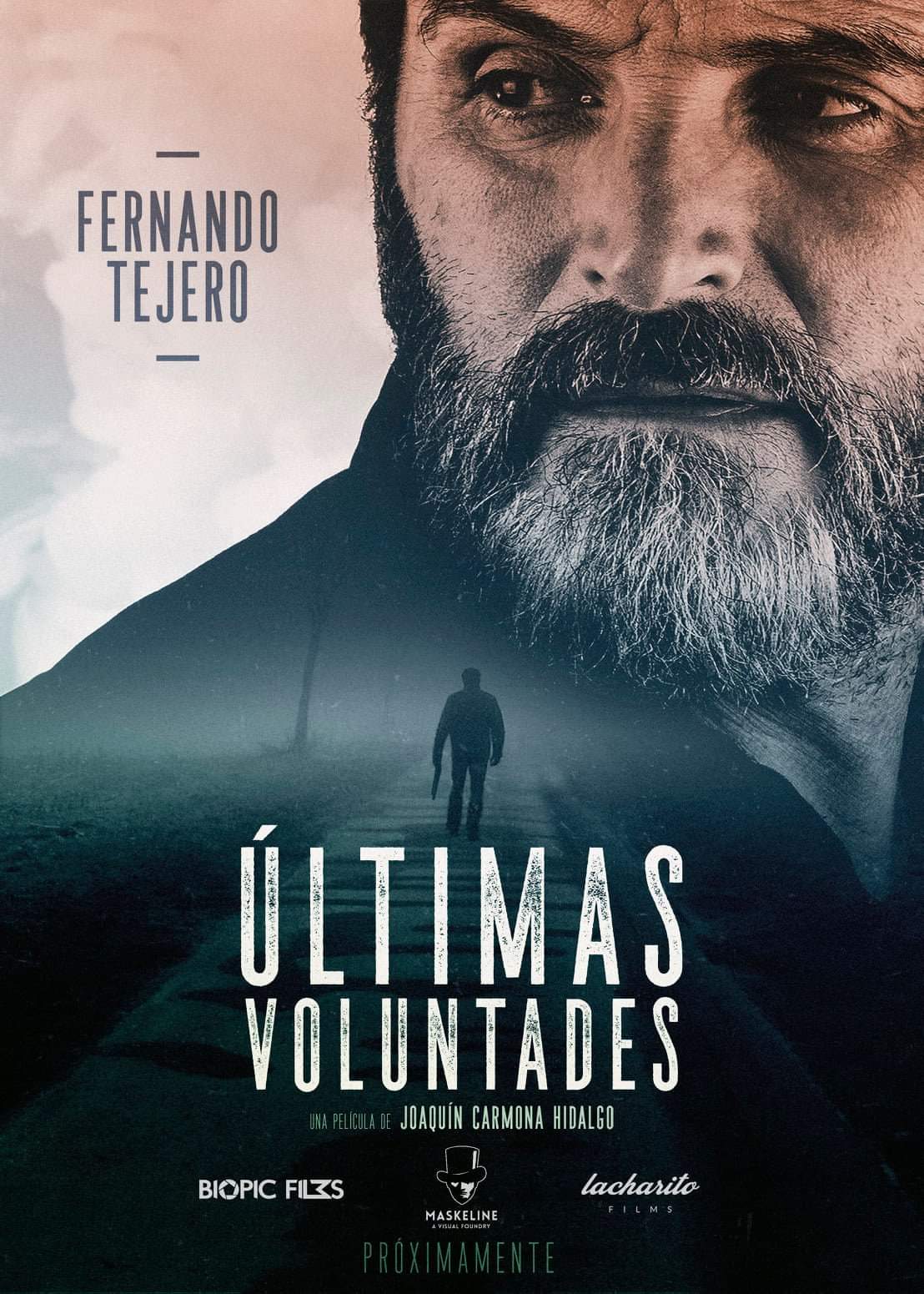 Poster of Últimas voluntades