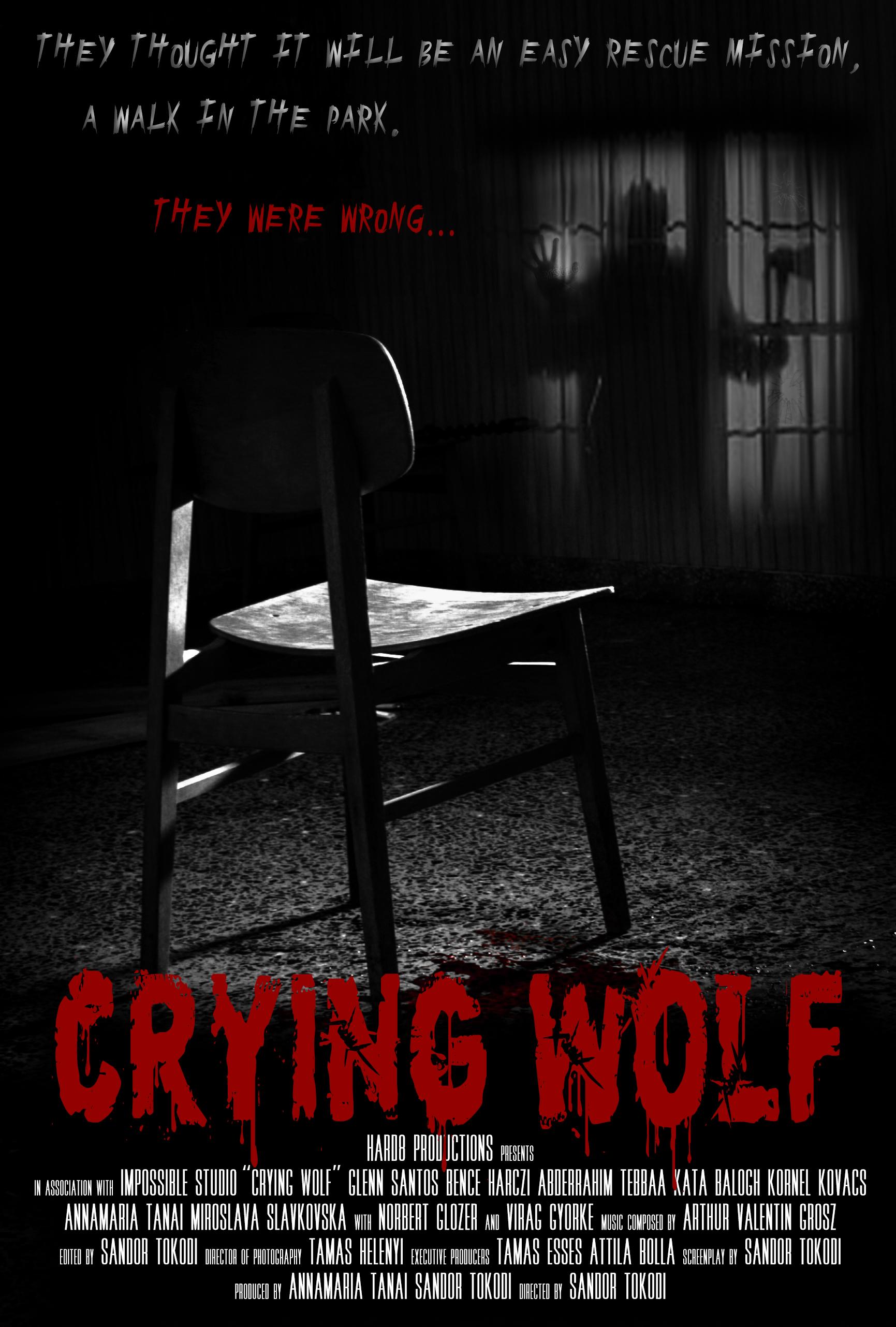 Poster of Crying Wolf