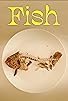 Primary photo for Fish Primary photo for Fish