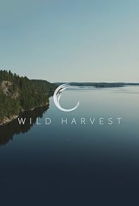 Primary photo for Wild Harvest Primary photo for Wild Harvest