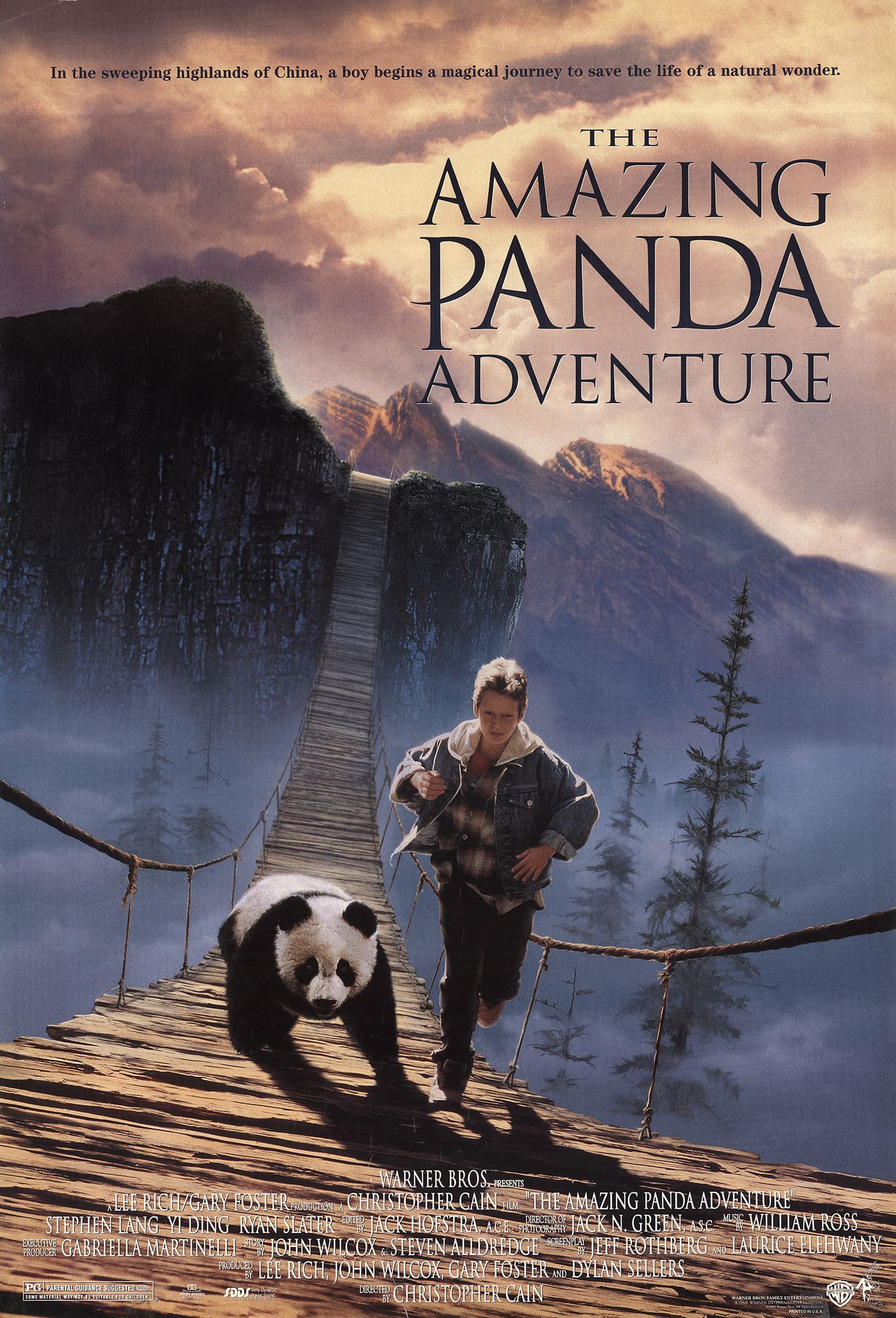Poster of The Amazing Panda Adventure
