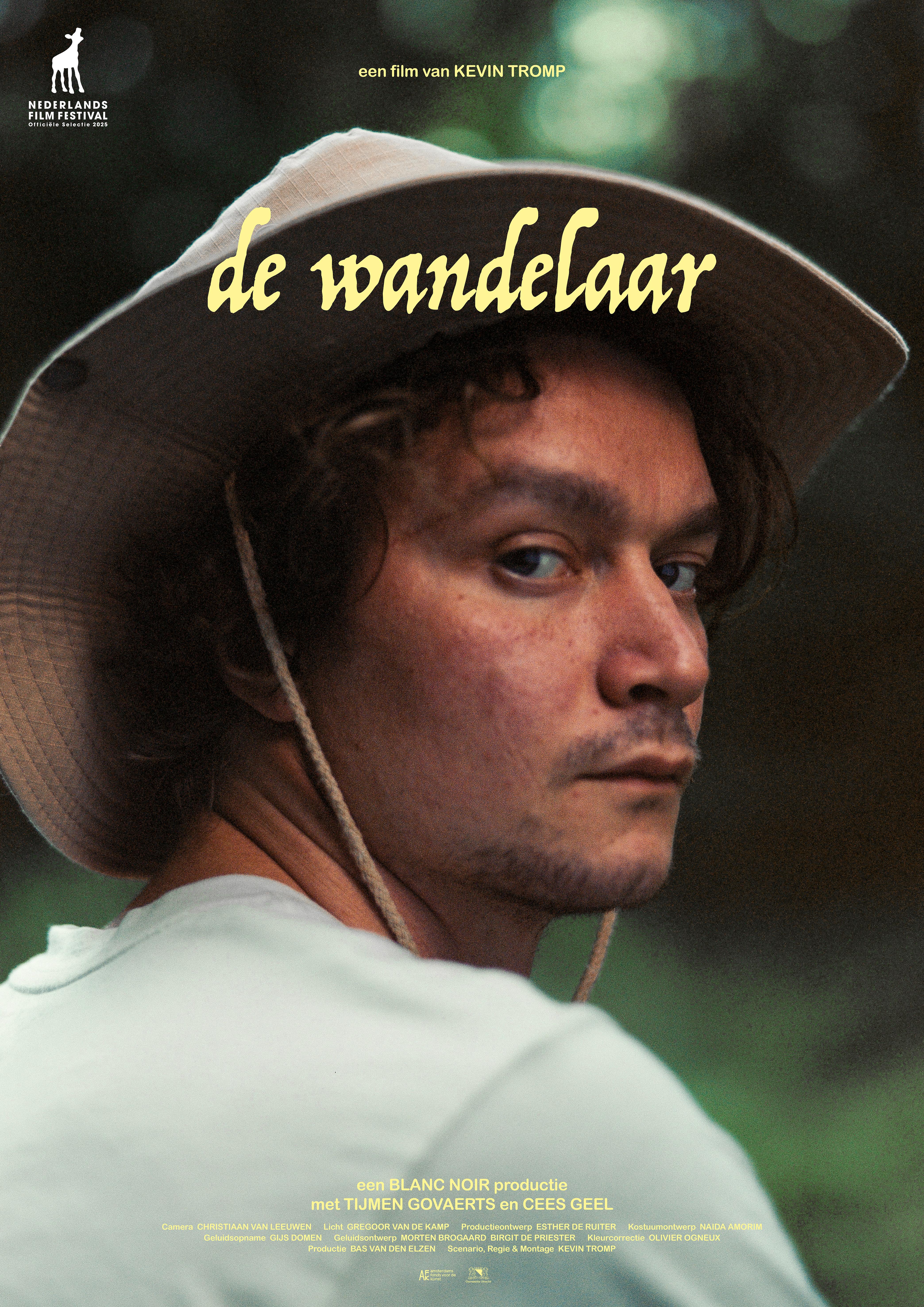 De wandelaar