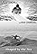 Shaped by the Sea's primary photo