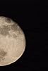 Primary photo for Full Moon & High Tide in the Ladies Room Primary photo for Full Moon & High Tide in the Ladies Room
