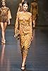 Primary photo for Dolce & Gabbana: Fall/Winter 2014 Womenswear Collection Primary photo for Dolce & Gabbana: Fall/Winter 2014 Womenswear Collection