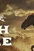 Primary photo for The Ballad of the Bush Mare Primary photo for The Ballad of the Bush Mare