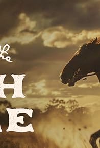Primary photo for The Ballad of the Bush Mare Primary photo for The Ballad of the Bush Mare