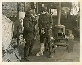 पोस्टर देखें