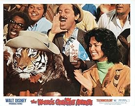 पोस्टर देखें