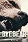 Bye Bear's primary photo