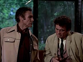 पोस्टर देखें