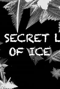 Primary photo for The Secret Life of Ice
