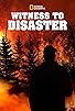 Primary photo for Witness to Disaster Primary photo for Witness to Disaster