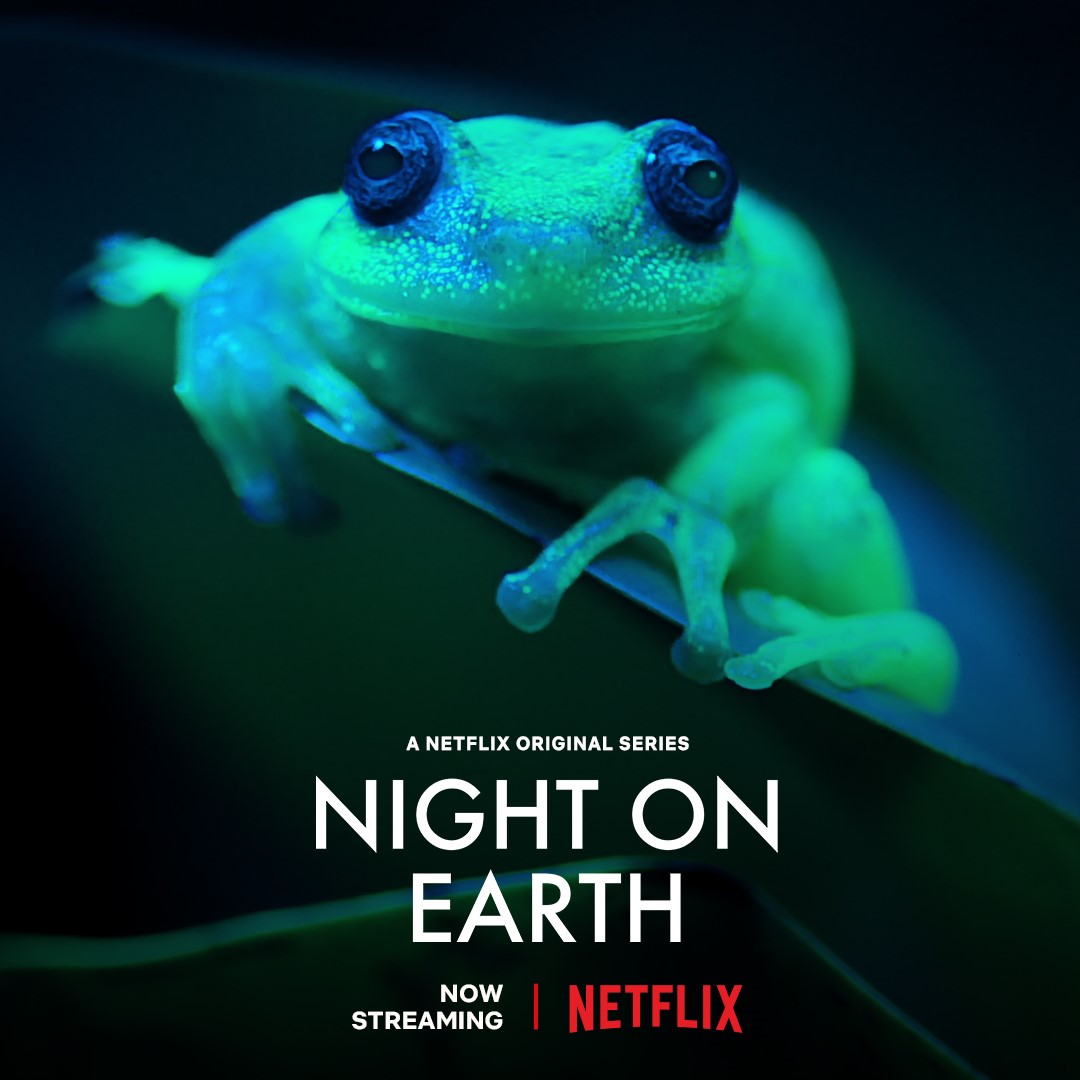 Poster of Night On Earth