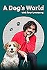Primary photo for A Dog's World with Tony Armstrong Primary photo for A Dog's World with Tony Armstrong