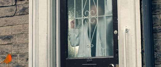 पोस्टर देखें