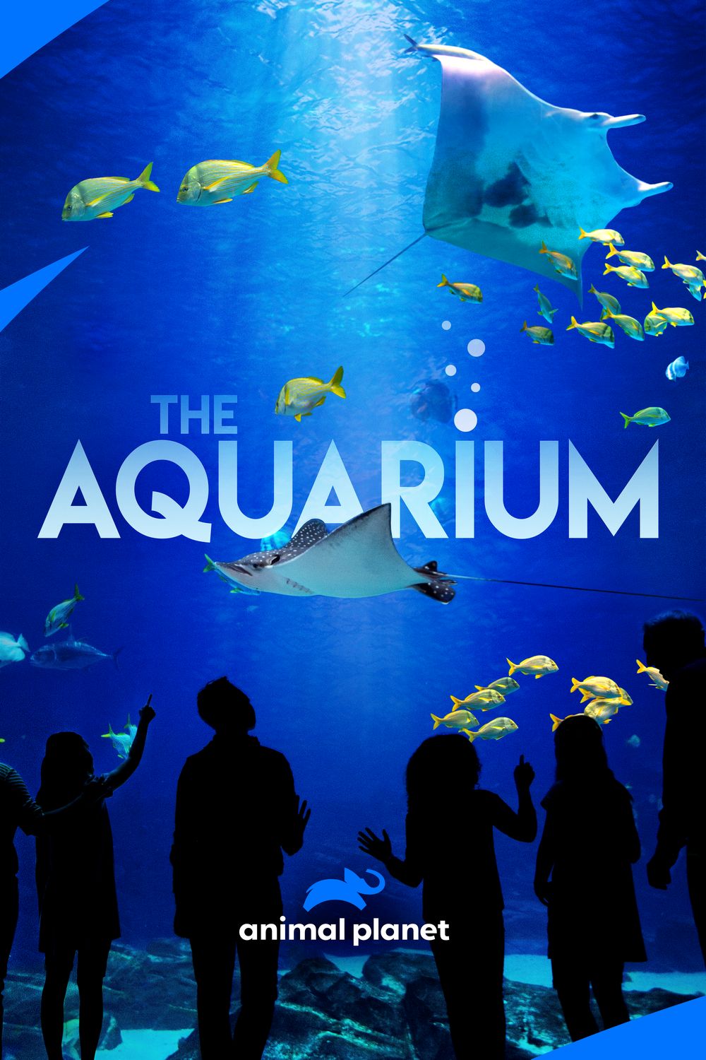 Poster of The Aquarium