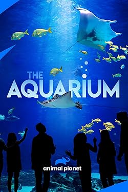 Poster of The Aquarium