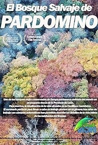 Primary photo for El Bosque Salvaje de Pardomino