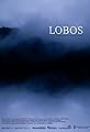 Lobos's primary photo