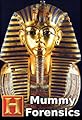 Mummy Forensics's primary photo