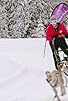 Primary photo for Dog Mushing