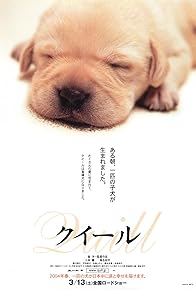 Primary photo for Quill: The Life of a Guide Dog