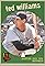 Teddy Ballgame's primary photo