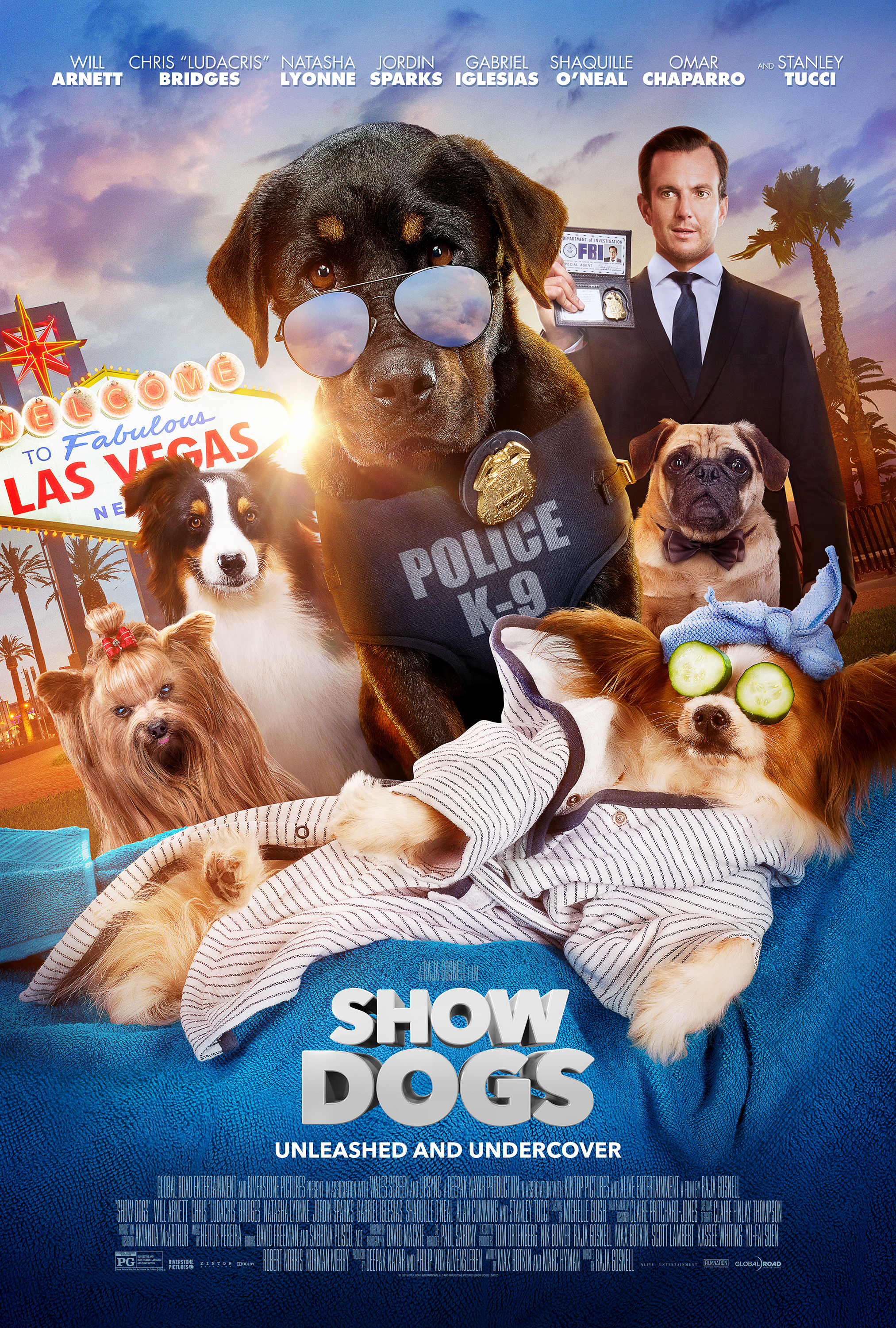 Poster of Show Dogs