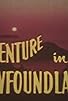 Primary photo for Adventure in Newfoundland Primary photo for Adventure in Newfoundland