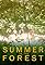 Summer in the Forest's primary photo