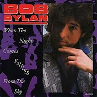 Primary photo for Bob Dylan: When the Night Comes Falling from the Sky