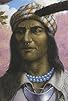 Primary photo for Lost Tribes: Tecumseh, a Native American Shawnee Warrior and Chief