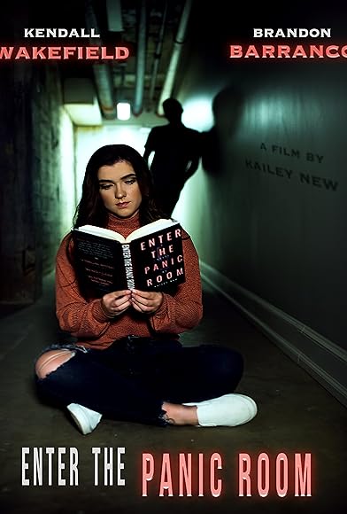 Primary photo for Enter the Panic Room Primary photo for Enter the Panic Room