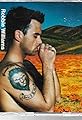 Robbie Williams: Eternity's primary photo
