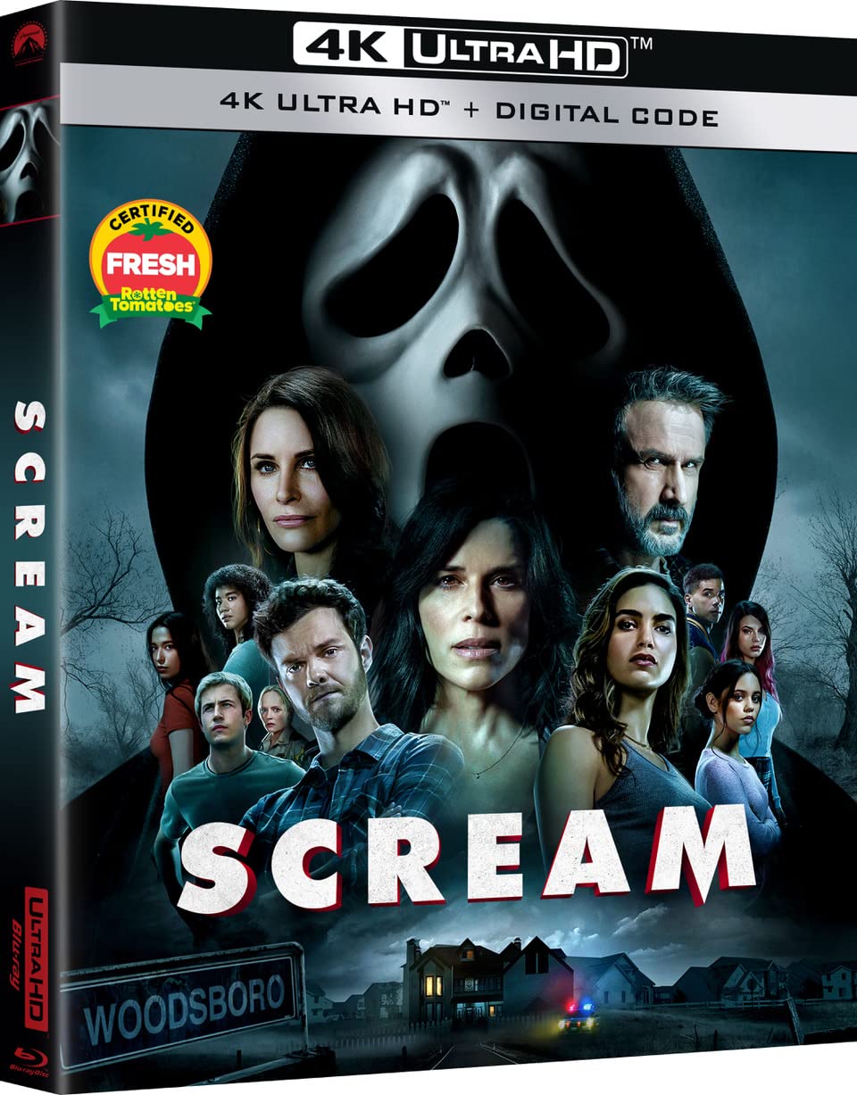 まとめ売り　10枚セット品　希少B2判映画ポスター　SCREAM スクリーム Scream (2022)