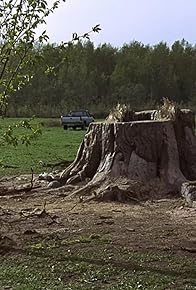 Primary photo for Old Tree