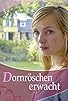 Primary photo for Dornröschen erwacht Primary photo for Dornröschen erwacht